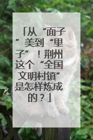 从“面子”美到“里子”！荆州这个“全国文明村镇”是怎样炼成的？