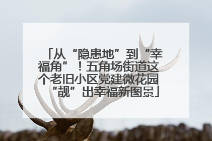 从“隐患地”到“幸福角”！五角场街道这个老旧小区党建微花园“靓”出幸福新图景