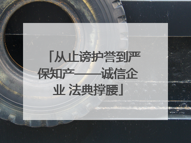 从止谤护誉到严保知产——诚信企业 法典撑腰