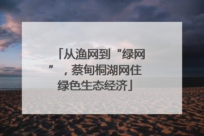 从渔网到“绿网”，蔡甸桐湖网住绿色生态经济