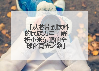 从芯片到饮料的民族力量，解析小米东鹏的全球化高光之路