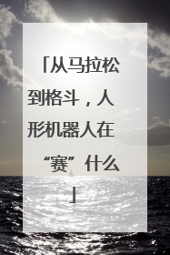从马拉松到格斗，人形机器人在“赛”什么