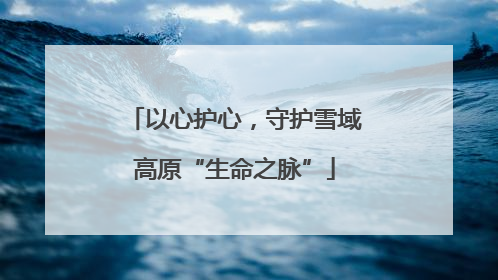 以心护心，守护雪域高原“生命之脉”