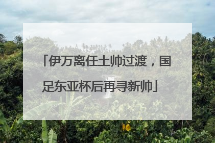 伊万离任土帅过渡，国足东亚杯后再寻新帅