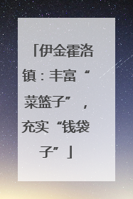 伊金霍洛镇：丰富“菜篮子”，充实“钱袋子”