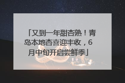 又到一年甜杏熟！青岛本地杏喜迎丰收，6月中旬开启尝鲜季