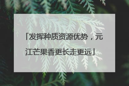 发挥种质资源优势，元江芒果香更长走更远