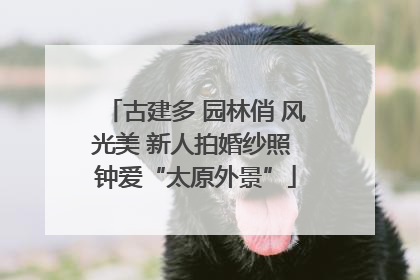 古建多 园林俏 风光美 新人拍婚纱照 钟爱“太原外景”