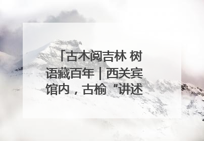 古木阅吉林 树语藏百年｜西关宾馆内，古榆“讲述”时光絮语