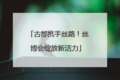 古都携手丝路！丝博会绽放新活力