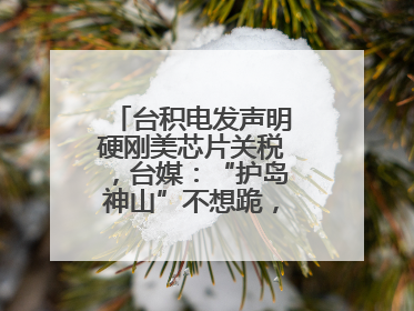 台积电发声明硬刚美芯片关税，台媒：“护岛神山”不想跪，赖当局呢？