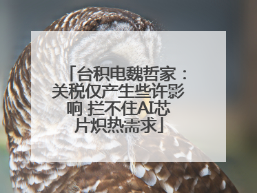 台积电魏哲家：关税仅产生些许影响 拦不住AI芯片炽热需求