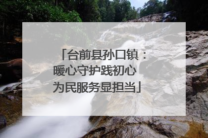 台前县孙口镇：暖心守护践初心 为民服务显担当