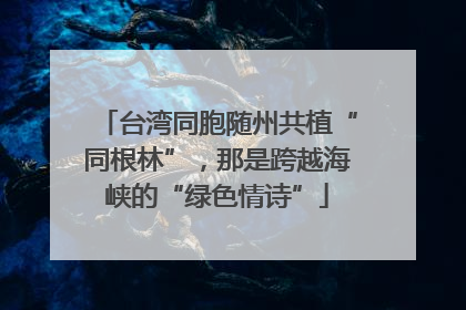 台湾同胞随州共植“同根林”，那是跨越海峡的“绿色情诗”