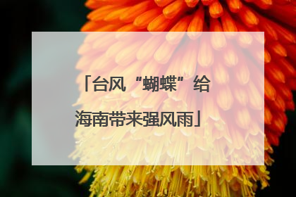 台风“蝴蝶”给海南带来强风雨