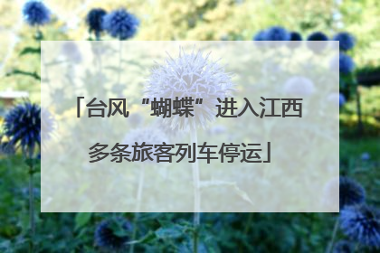 台风“蝴蝶”进入江西 多条旅客列车停运