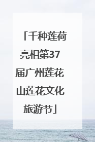 千种莲荷亮相第37届广州莲花山莲花文化旅游节