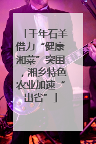千年石羊借力“健康湘菜”突围，湘乡特色农业加速“出省”