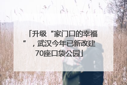 升级“家门口的幸福”，武汉今年已新改建70座口袋公园