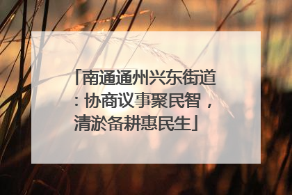 南通通州兴东街道：协商议事聚民智，清淤备耕惠民生
