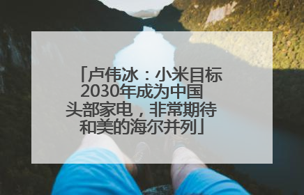 卢伟冰：小米目标2030年成为中国头部家电，非常期待和美的海尔并列