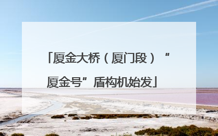 厦金大桥（厦门段）“厦金号”盾构机始发