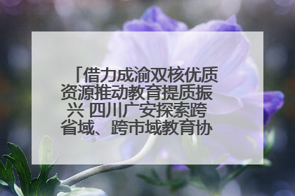借力成渝双核优质资源推动教育提质振兴 四川广安探索跨省域、跨市域教育协同发展新路径
