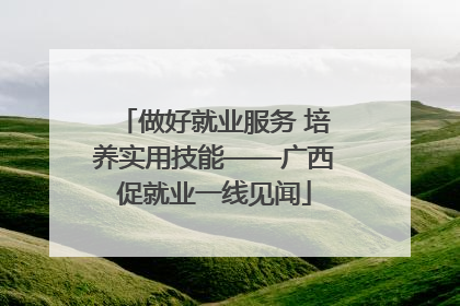做好就业服务 培养实用技能——广西促就业一线见闻