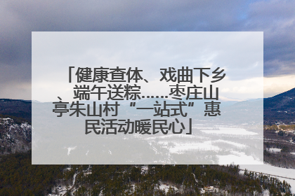 健康查体、戏曲下乡、端午送粽……枣庄山亭朱山村“一站式”惠民活动暖民心