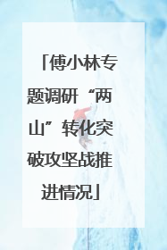 傅小林专题调研“两山”转化突破攻坚战推进情况