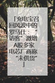 充电宝召回风波中的罗马仕：“访客”激增 A股多家电芯厂商称“未供货”