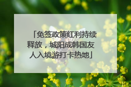 免签政策红利持续释放，城阳成韩国友人入境游打卡热地