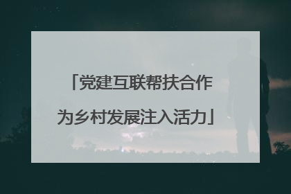 党建互联帮扶合作 为乡村发展注入活力