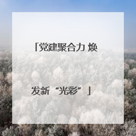党建聚合力 焕发新“光彩”