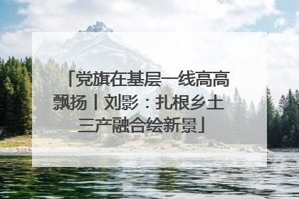 党旗在基层一线高高飘扬丨刘影：扎根乡土 三产融合绘新景