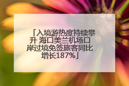 入境游热度持续攀升 海口美兰机场口岸过境免签旅客同比增长187%