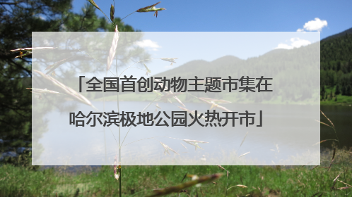 全国首创动物主题市集在哈尔滨极地公园火热开市