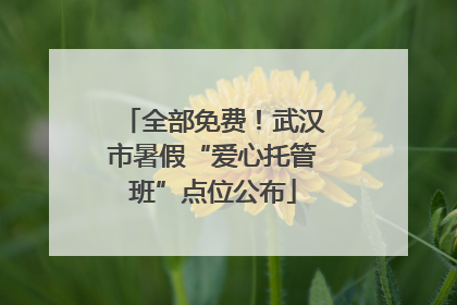 全部免费！武汉市暑假“爱心托管班”点位公布