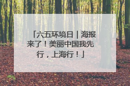 六五环境日｜海报来了！美丽中国我先行，上海行！