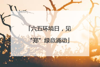 六五环境日，见“郑”绿意涌动