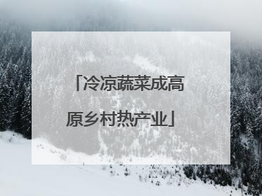 冷凉蔬菜成高原乡村热产业