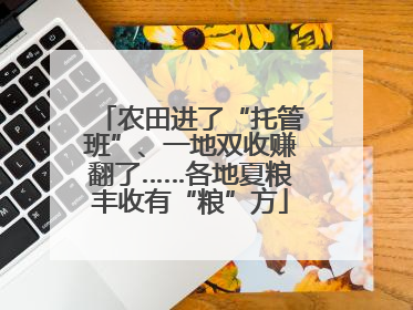农田进了“托管班”、一地双收赚翻了……各地夏粮丰收有“粮”方