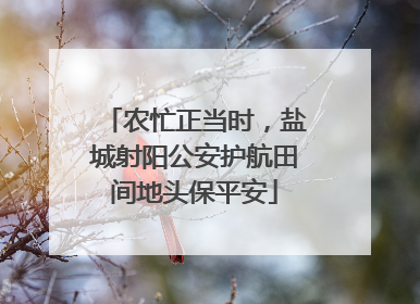 农忙正当时，盐城射阳公安护航田间地头保平安
