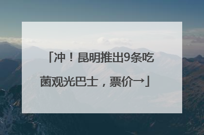 冲！昆明推出9条吃菌观光巴士，票价→