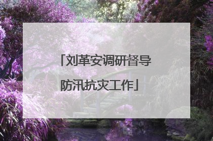 刘革安调研督导防汛抗灾工作