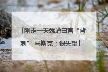 刚走一天就遭白宫“背刺” 马斯克：很失望