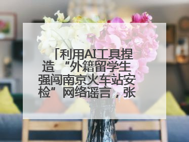 利用AI工具捏造 “外籍留学生强闯南京火车站安检”网络谣言，张某燕被行政拘留