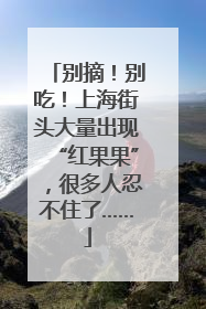别摘！别吃！上海街头大量出现“红果果”，很多人忍不住了……