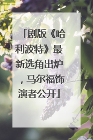 剧版《哈利波特》最新选角出炉，马尔福饰演者公开
