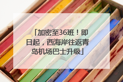 加密至36班！即日起，西海岸往返青岛机场巴士升级
